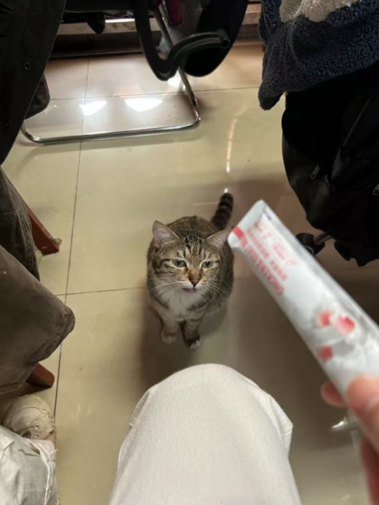 云图片