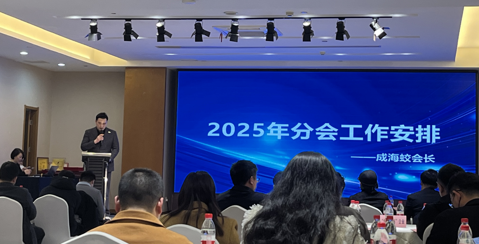 https://techchina.nancai.net/2025/0301/cc838f93923de76.png