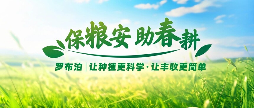保粮安 助春耕 