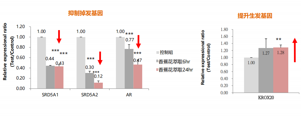 大江生医创新研发香蕉花萃取，解锁秀发生命力
