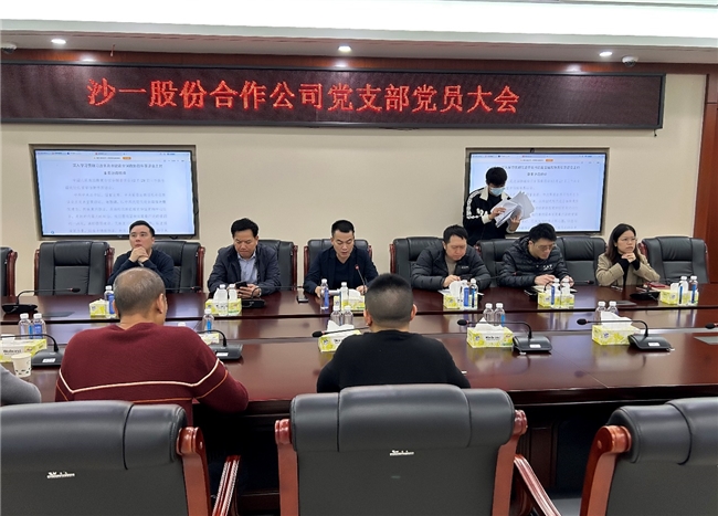 深圳沙一股份公司：凝心聚力谋发展 实干笃行向未来