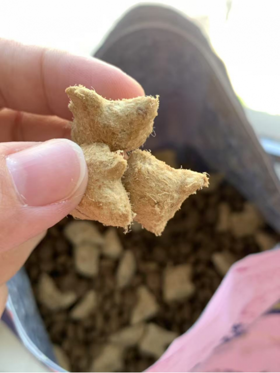 云图片