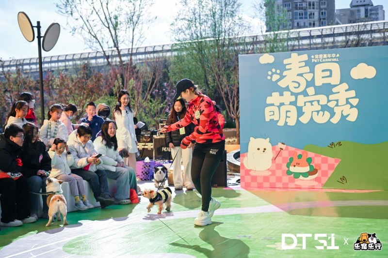 北京DT51春日美好活动：萌趣与健康交织，打造都市社交新场景
