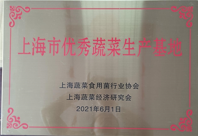 智耕：深耕农业领域，共筑绿色生活美好未来