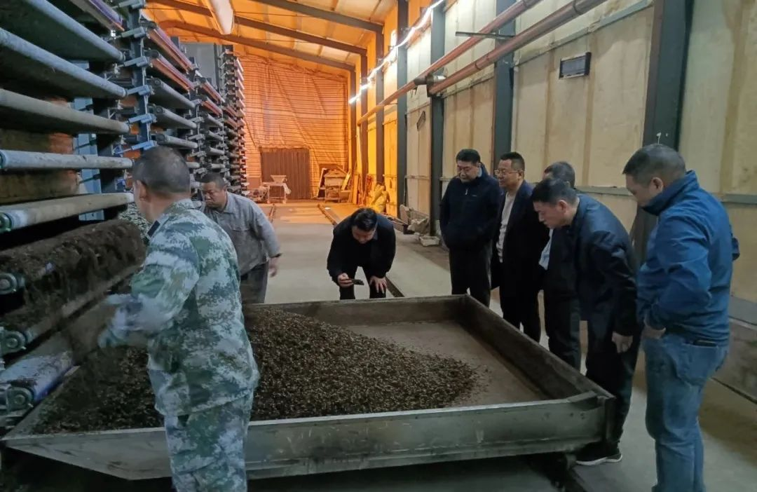 图片11.png
