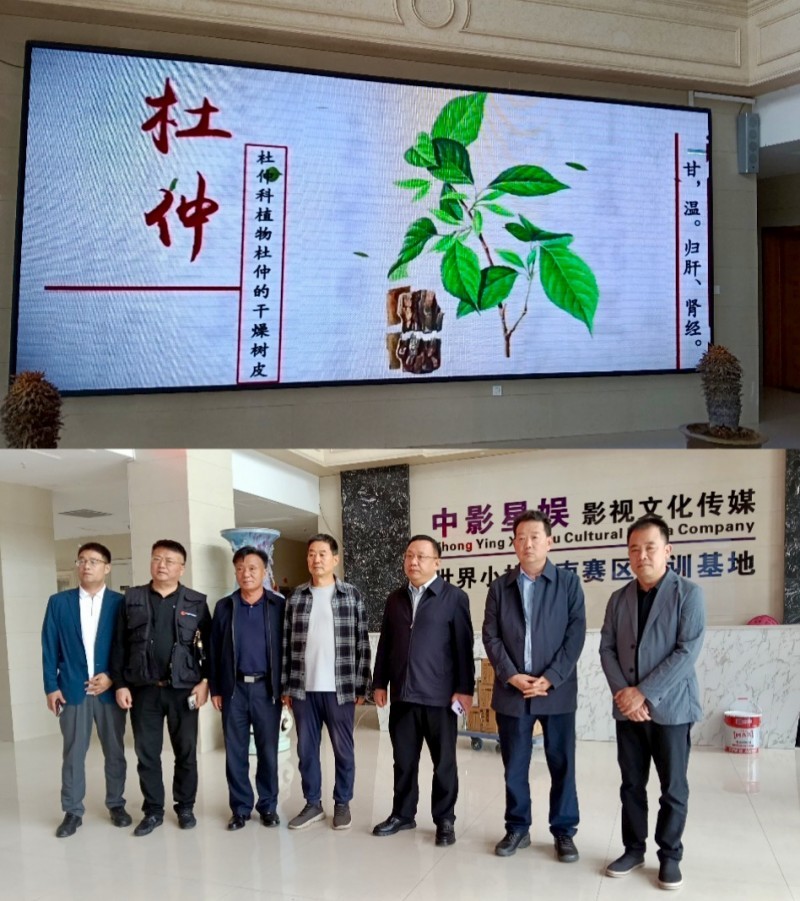 天智教育张志诚鄢陵考察：解码杜仲产业 共绘三高人群健康新蓝图
