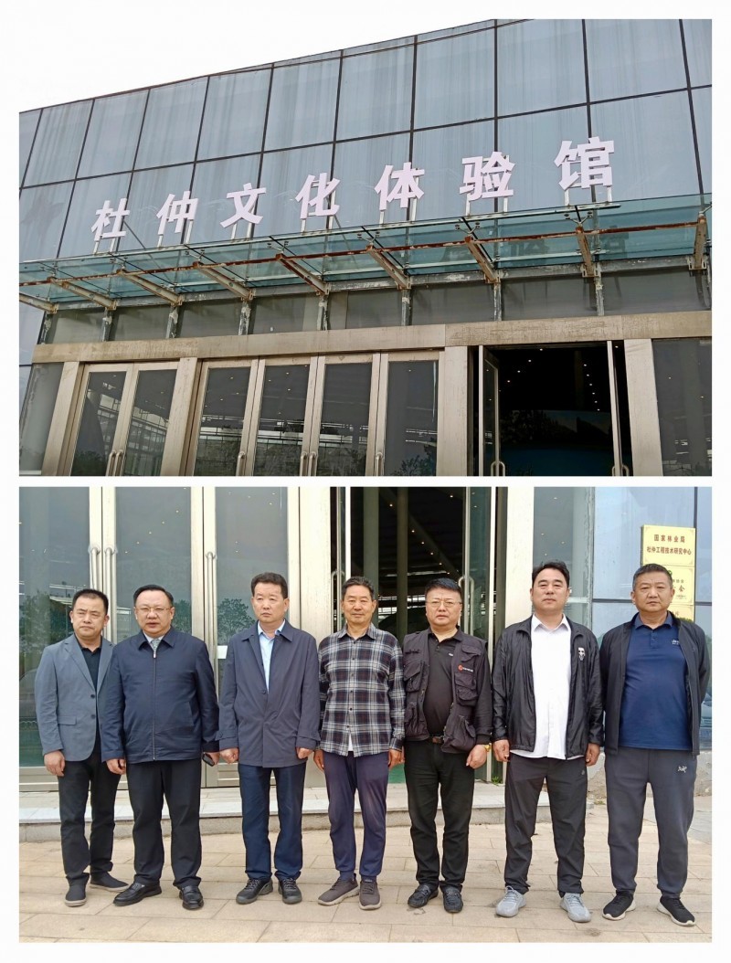 天智教育张志诚鄢陵考察：解码杜仲产业 共绘三高人群健康新蓝图