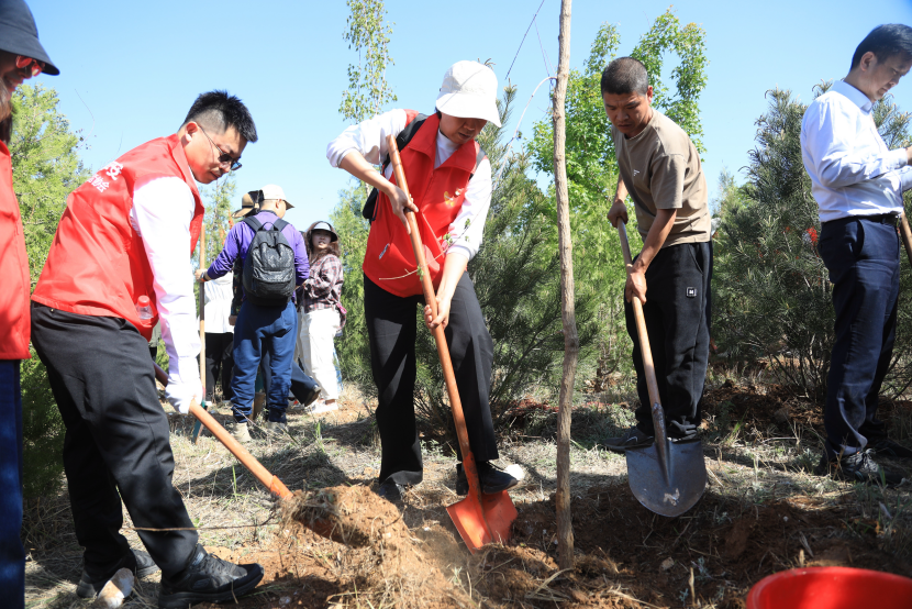 https://techchina.nancai.net/2025/0423/d6898097cdade8f.png