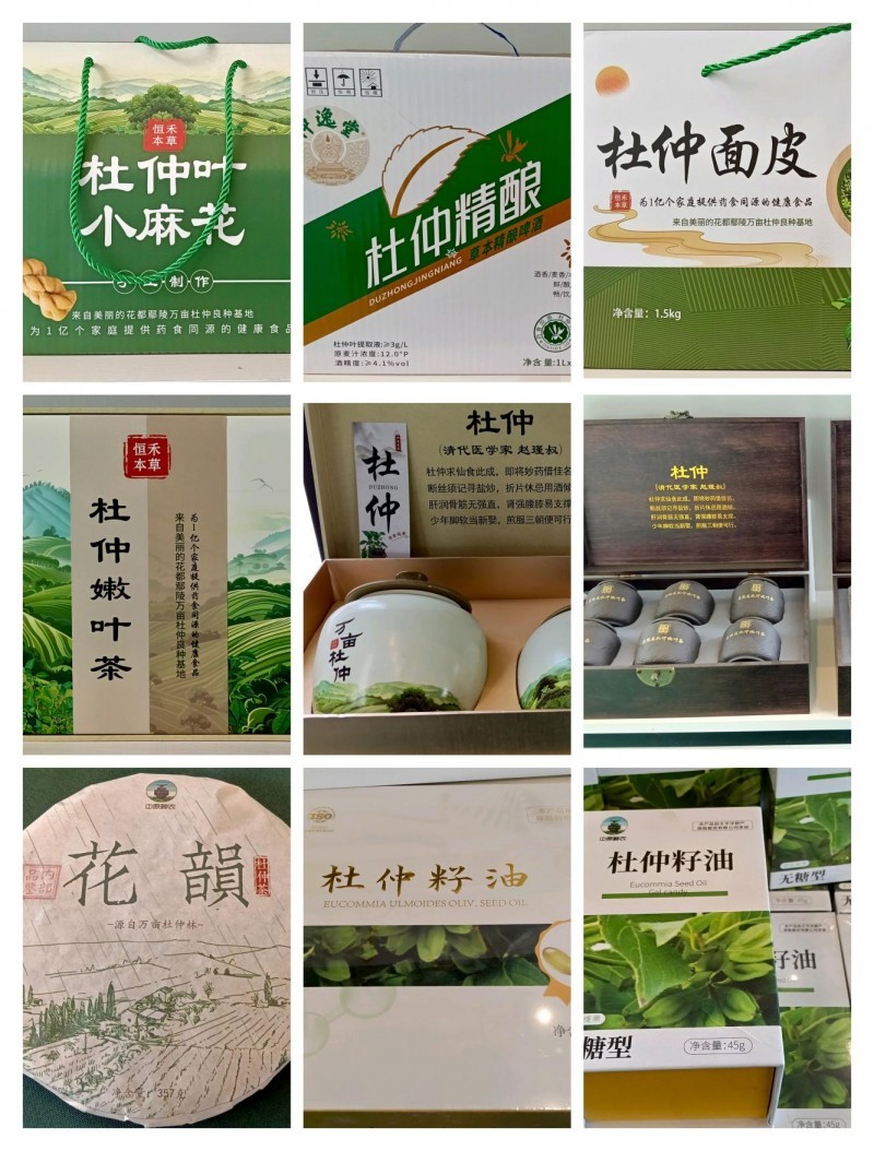 天智教育张志诚鄢陵考察：解码杜仲产业 共绘三高人群健康新蓝图