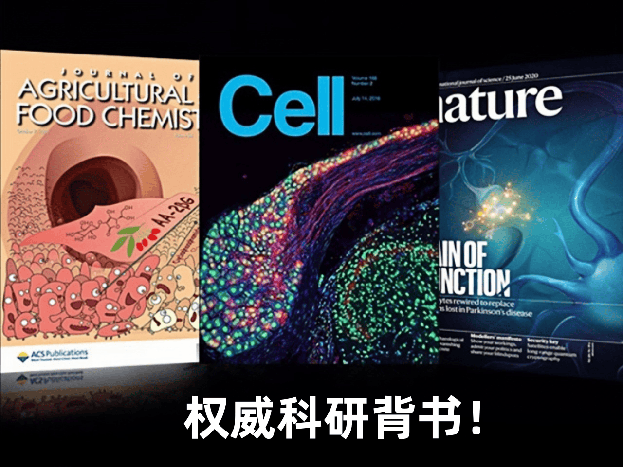 https://techchina.nancai.net/2025/0427/b612e857865ba5f.png