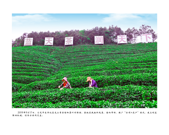 https://techchina.nancai.net/2025/0429/e2d6954042883fd.png