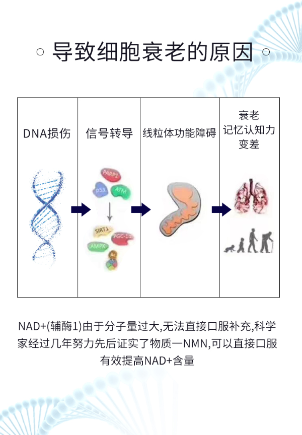 https://techchina.nancai.net/2025/0514/70e3e2934f4e9c.png