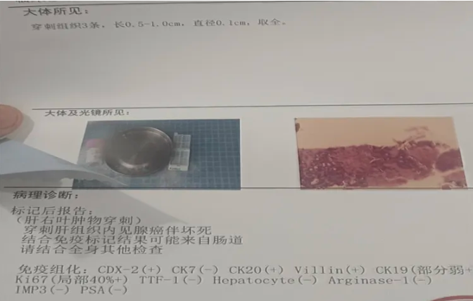 1747966130727839.png