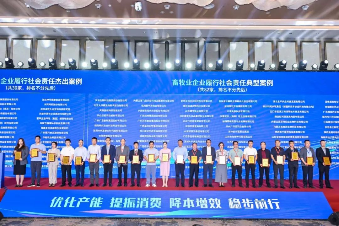 图片15.png