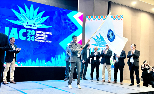 https://techchina.nancai.net/2025/0528/d0b853702d861b3.png