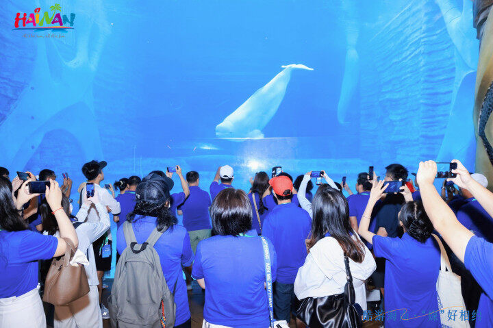 https://techchina.nancai.net/2025/0530/9f3be89d1fb5188.png