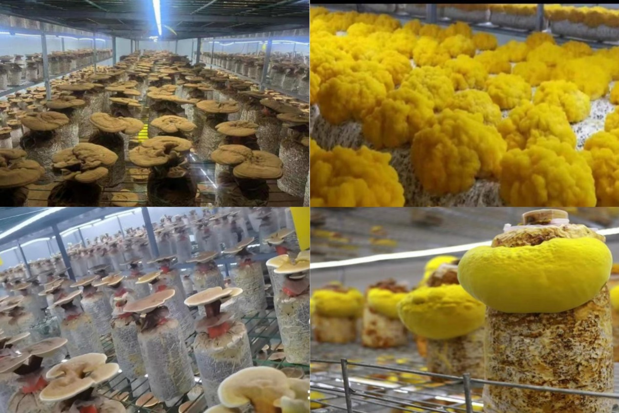 3b7178c63e272d4b2faed05f84ea5da