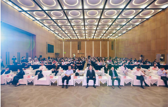 https://techchina.nancai.net/2025/0626/13b30ce6169b670.png