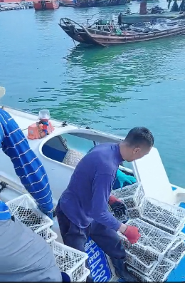 云图片