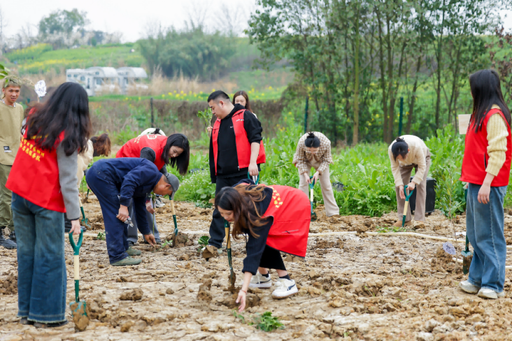 /Users/shangyidan/Library/Containers/com.kingsoft.wpsoffice.mac/Data/tmp/picturecompress_20250710131258/output_1.pngoutput_1