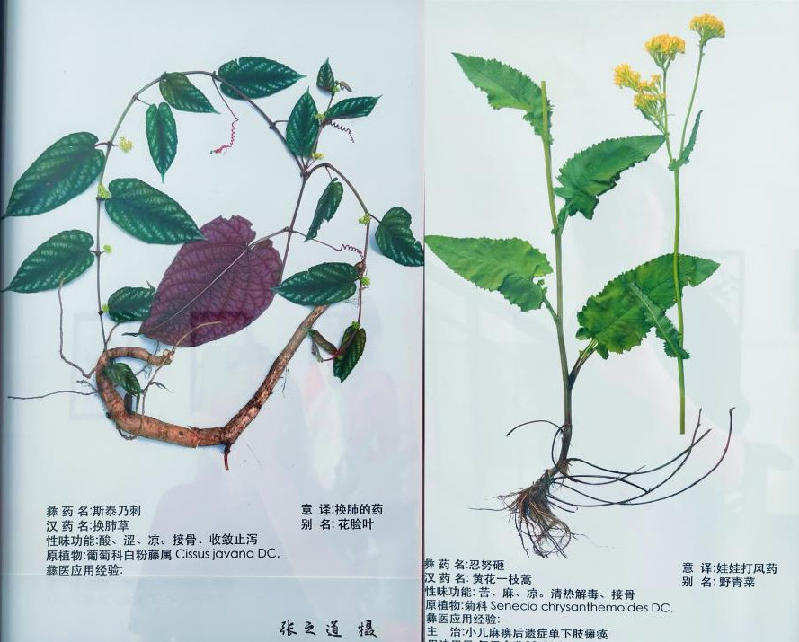 https://techchina.nancai.net/2025/0717/7c9108a14d10baa.png