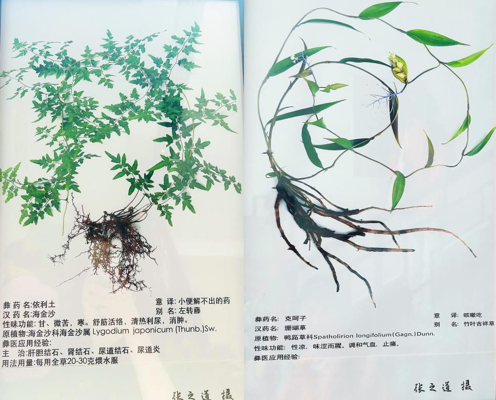 https://techchina.nancai.net/2025/0717/fbc5ca2a64ccf20.png
