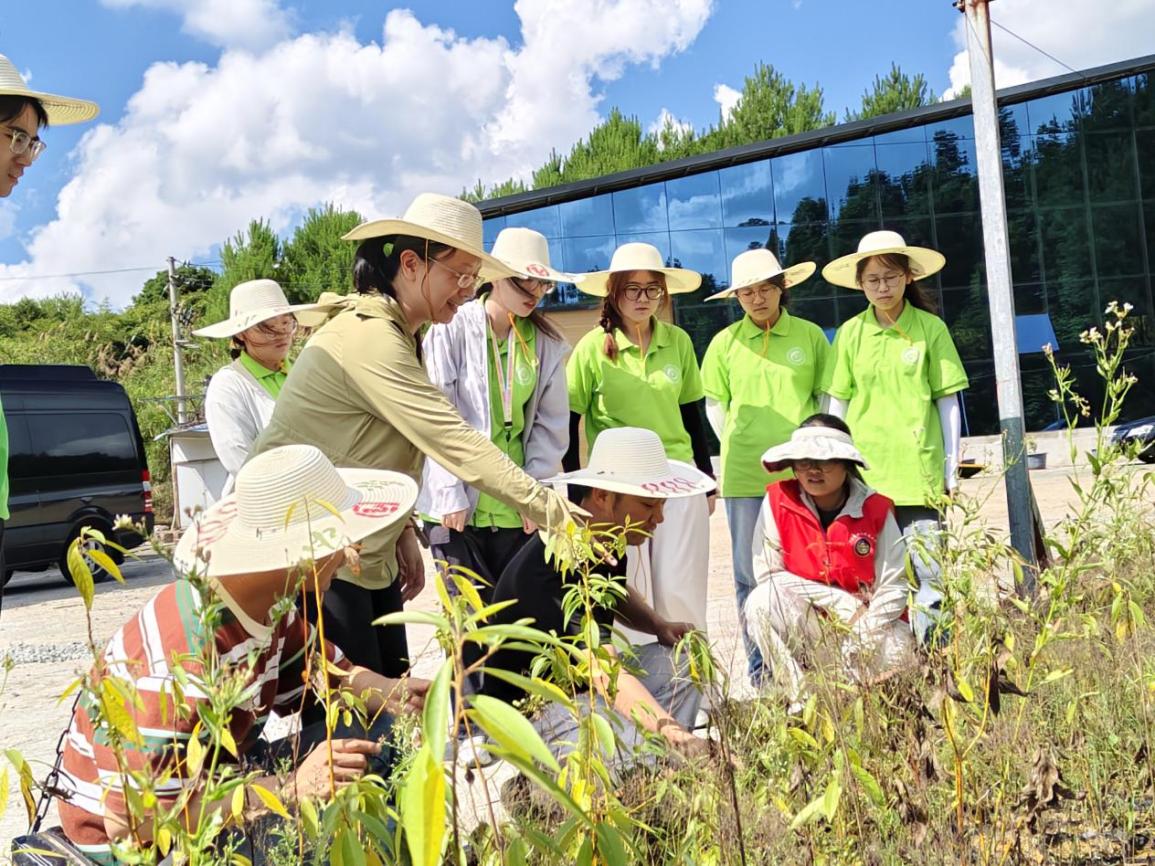 0f668475d9ac29b9df0574f6deeb383