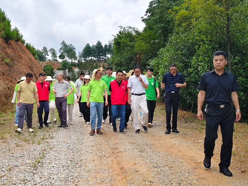 2025-07-20 13:58:28.947000