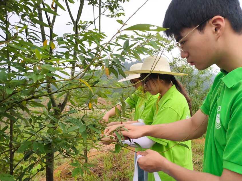 2025-07-20 13:55:40.205000