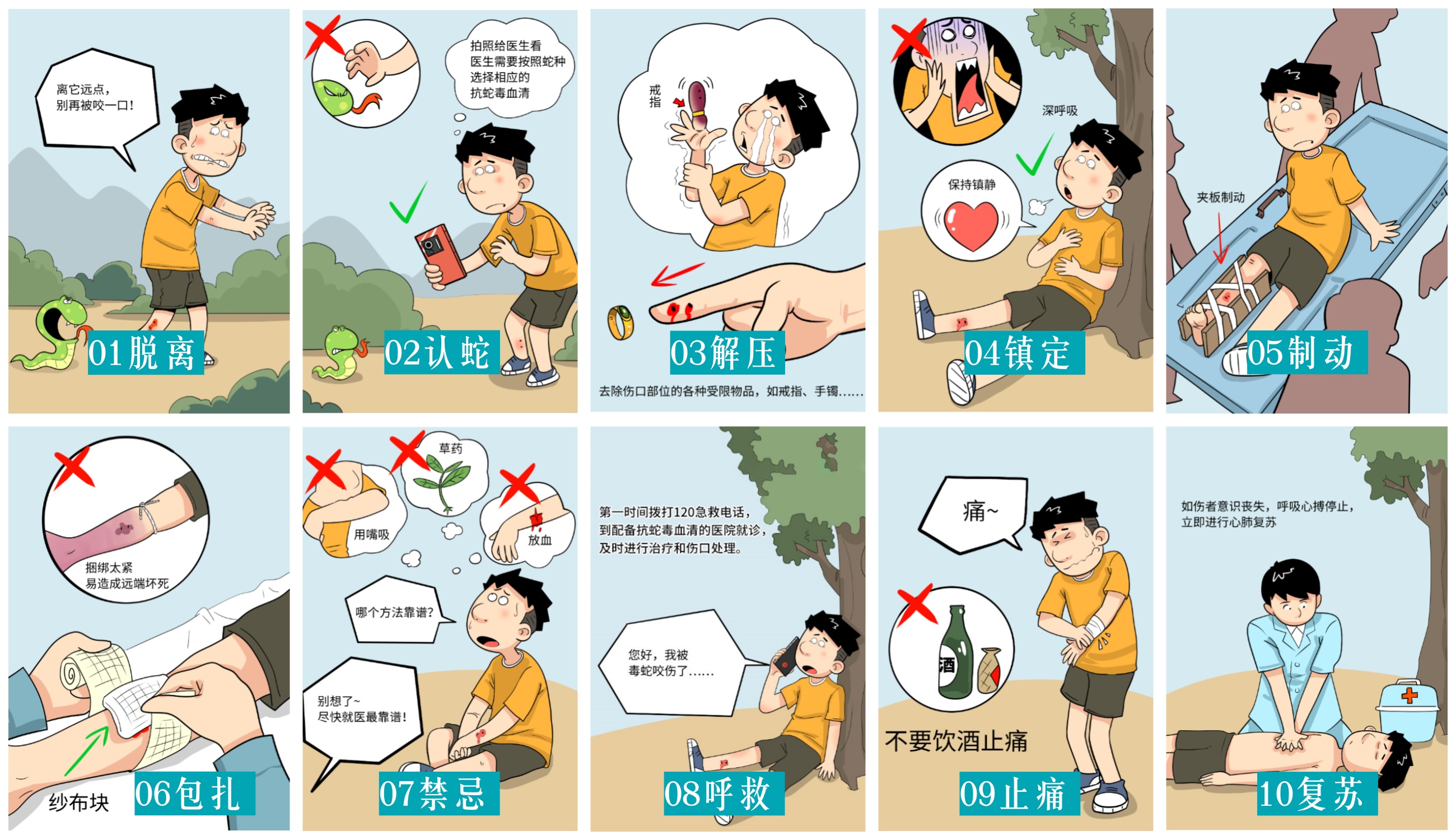 蛇伤急救方法横版.jpg