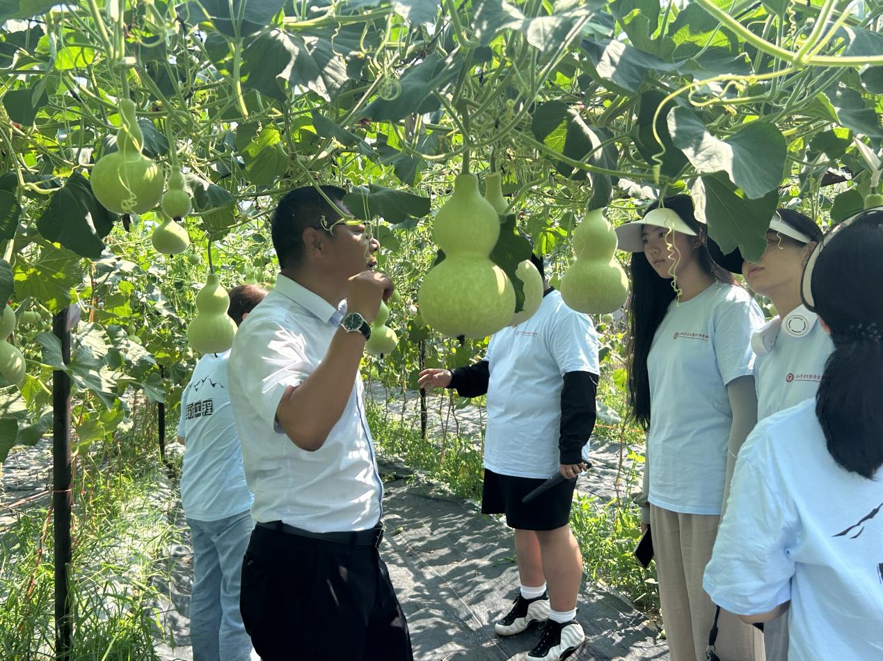 微信图片_20250716164805