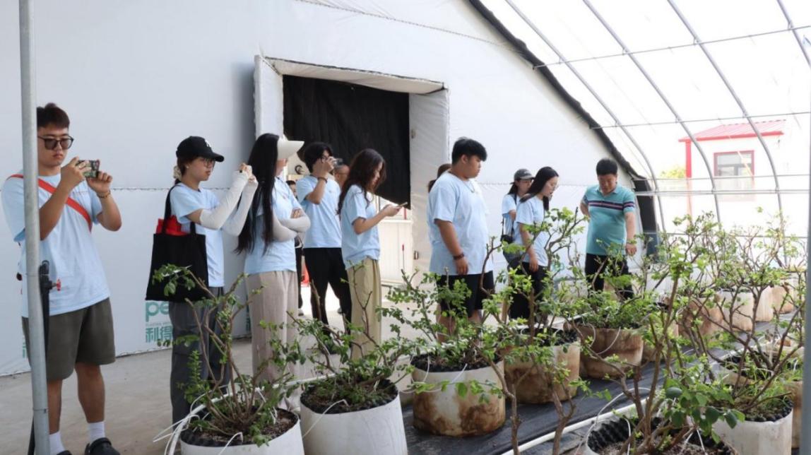 4aa716bafl3ed8f8432624819f1979a5