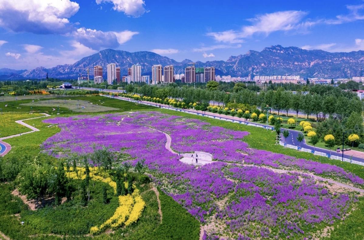 如图片无法显示，请刷新页面