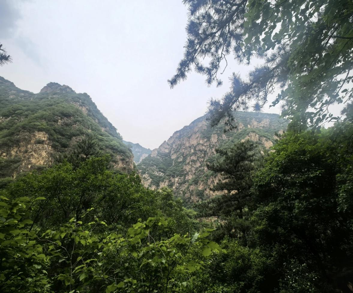 如图片无法显示，请刷新页面