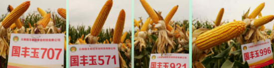 云图片