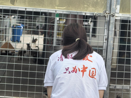https://techchina.nancai.net/2025/0814/170f9dbbab1207f.png