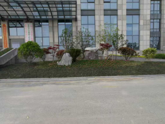 云图片