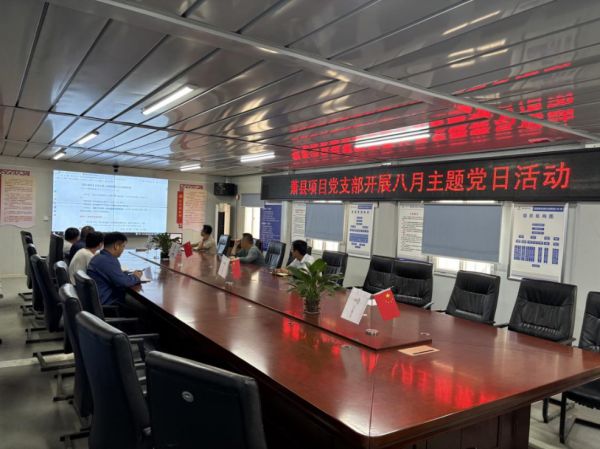萧县淮海西路项目党支部开展主题党日活动