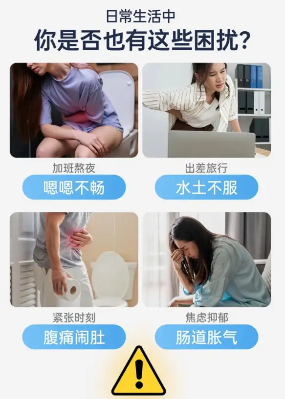 你的肠道能决定你的脑力？剖析cns舒畅益生菌助力健康的逻辑