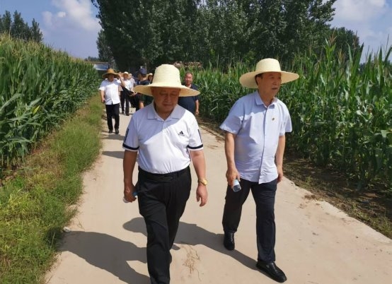 专家团队调研固安国坤润泽航天育种基地 助力种业振兴与乡村发展