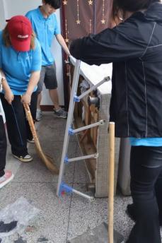 如图片无法显示，请刷新页面
