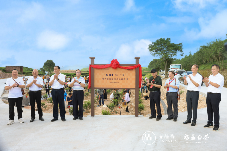 https://techchina.nancai.net/2025/0909/6334c062d75d453.png