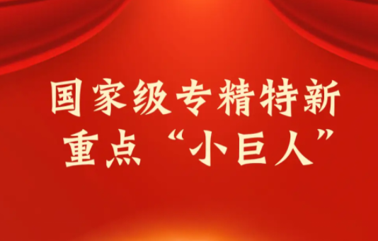 卓世科技荣膺国家级重点 “小巨人” 企业称号