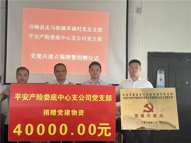 平安产险娄底中支：强化党建引领 助力乡村振兴
