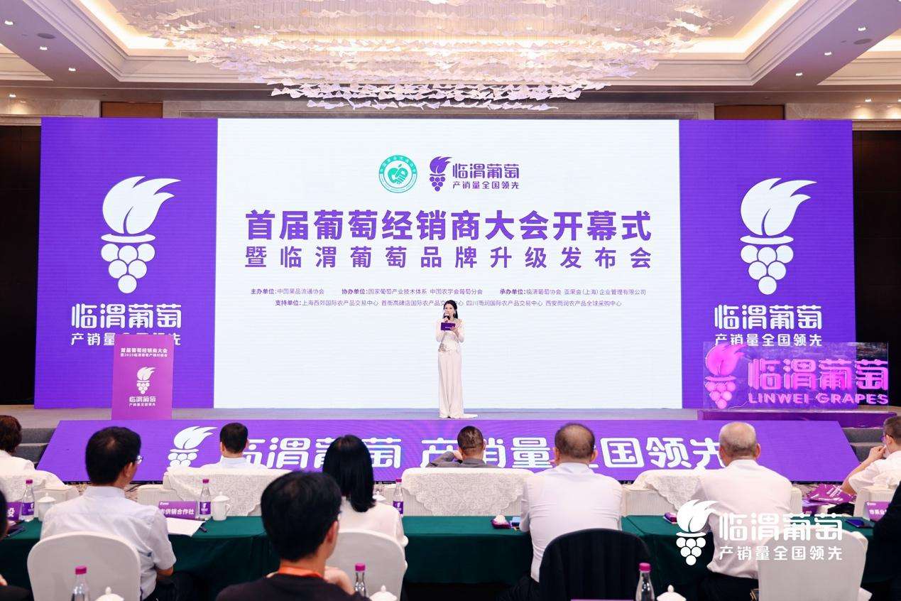 首届葡萄经销商大会在陕西临渭区举办，临渭葡萄品牌升级亮相
