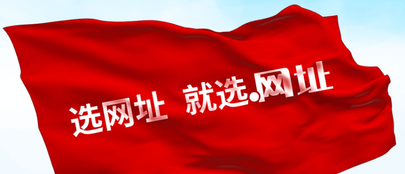 智能大数据.网址中文域名在大数据领域商业价值