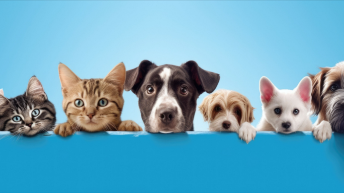 宠智灵宠物AI：覆盖犬猫鸟鱼异宠的高精度品种识别能力