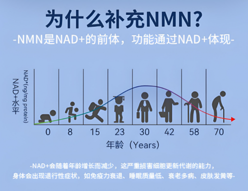 nmn哪个牌子更安全可信？全球十大高品质nmn排行，三井nmn暴涨成行业标杆
