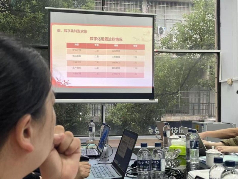数字化转型补贴政策 仁和云ERP+MES对口软件系统申请