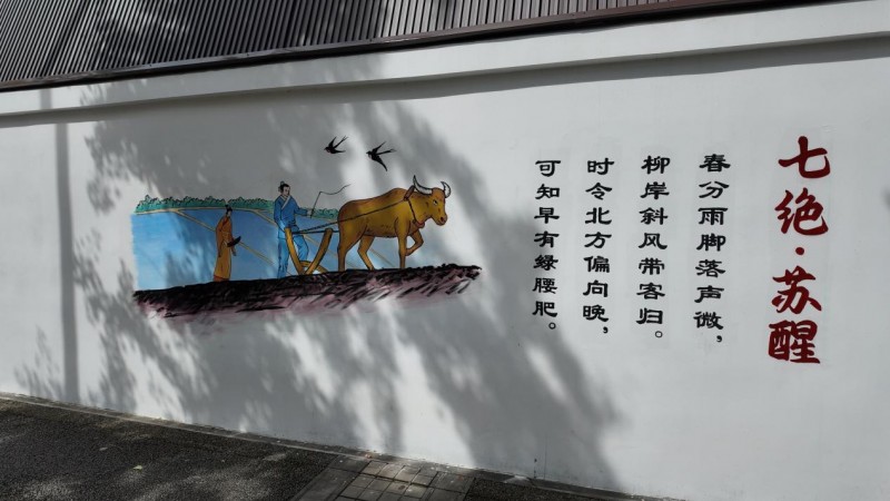 校门口的治愈瞬间，都藏在这条“宝藏上学路”里